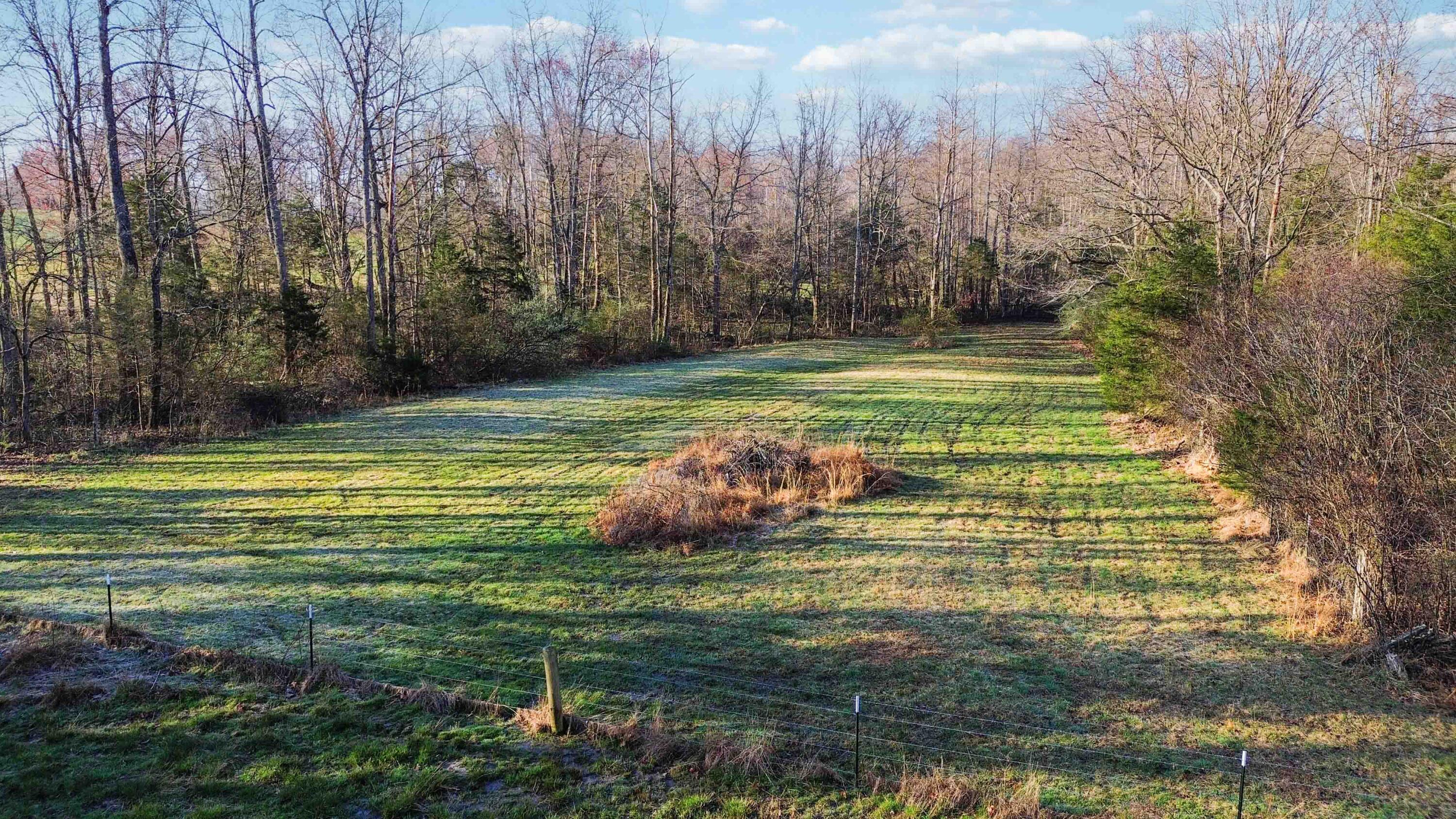 999 East Todd Road Science Hill, KY 42553 - Photo 7 of 17 012