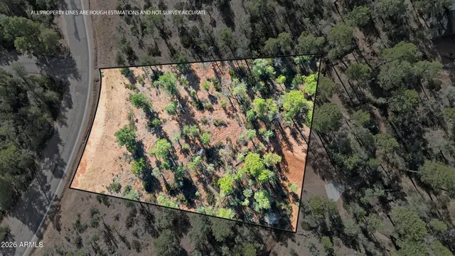 a view of a road with a yard