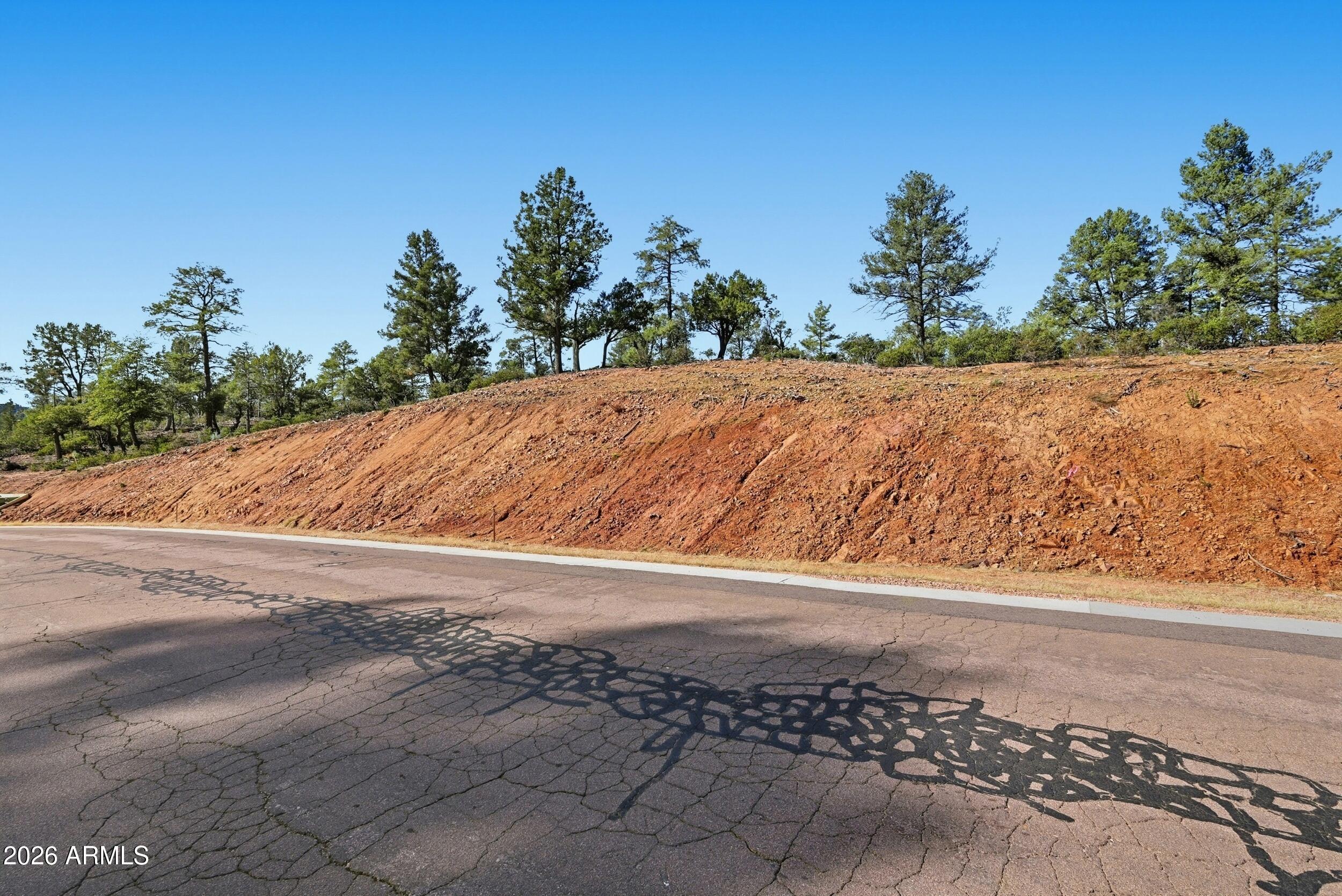 1302 North Karen Way, Unit 11 Payson, AZ 85541 - Photo 3 of 9 a view of a road with a yard