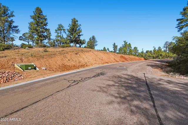 a view of a forest with trees