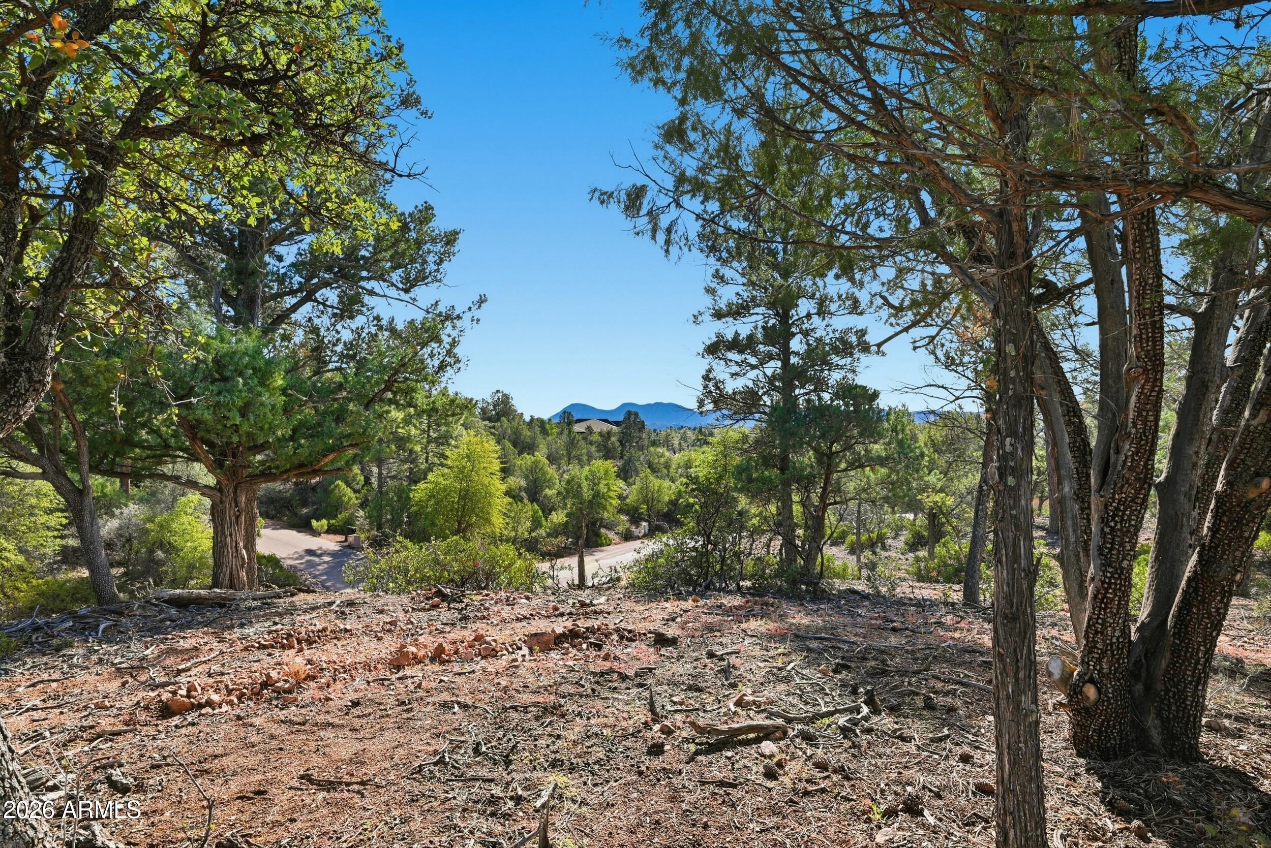 1302 North Karen Way, Unit 11 Payson, AZ 85541 - Photo 5 of 9 a view of a forest with trees