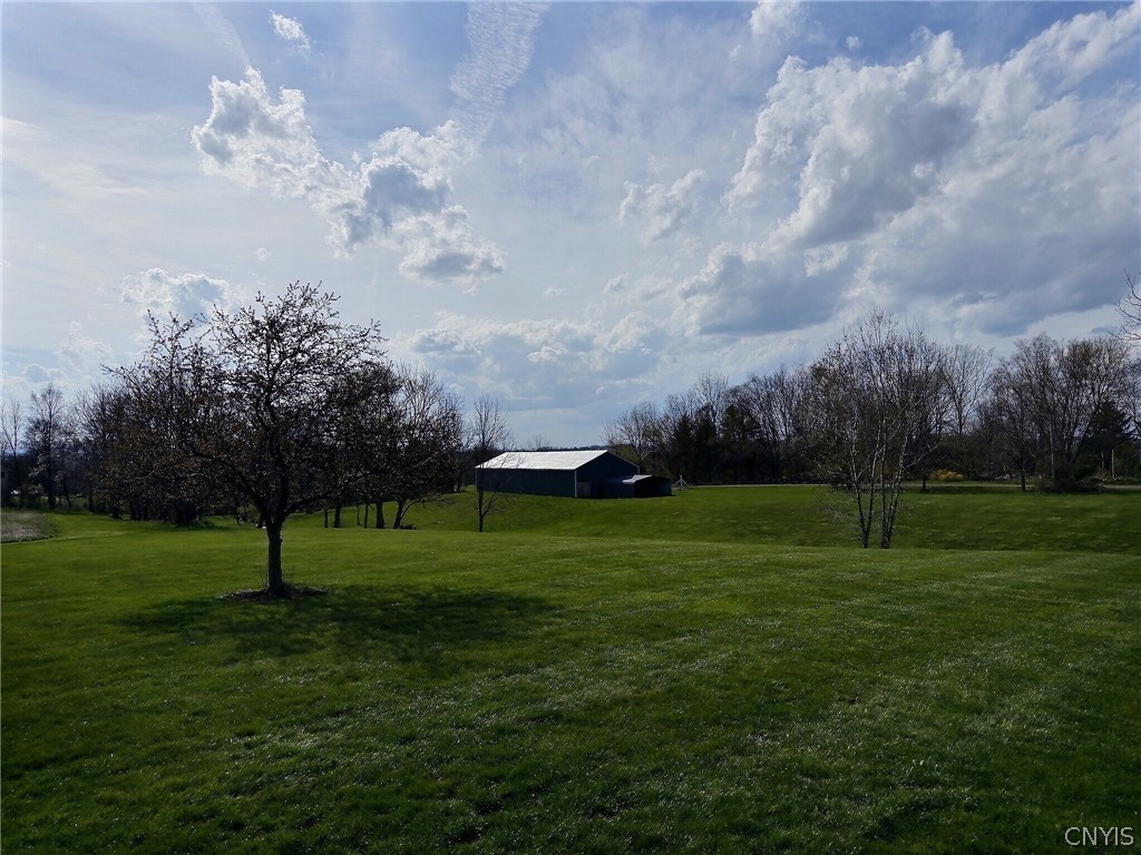 295 Buck Road Lansing, NY 14882 - Photo 37 of 47