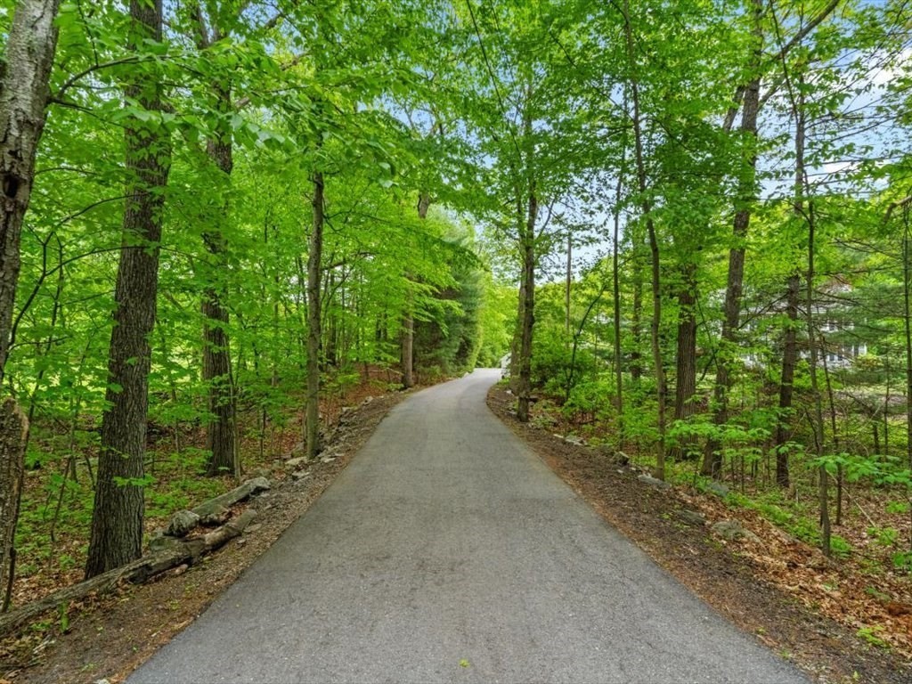 157 Harvard Road Bolton, MA 01740 - Photo 2 of 42 a view of a road with trees in the background