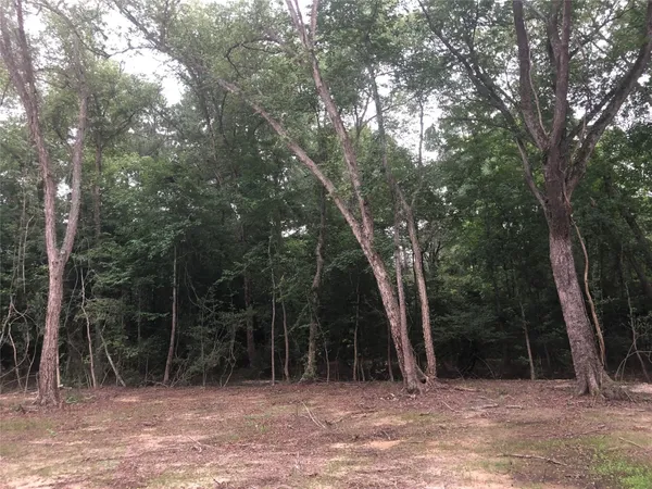 $160,000 | 60 Pr 1315 Centerville Tx 75833, Centerville, TX 75833