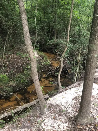 $160,000 | 60 Pr 1315 Centerville Tx 75833, Centerville, TX 75833