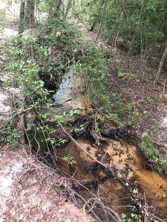 $160,000 | 60 Pr 1315 Centerville Tx 75833, Centerville, TX 75833