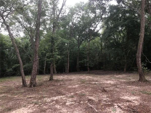 $160,000 | 60 Pr 1315 Centerville Tx 75833, Centerville, TX 75833