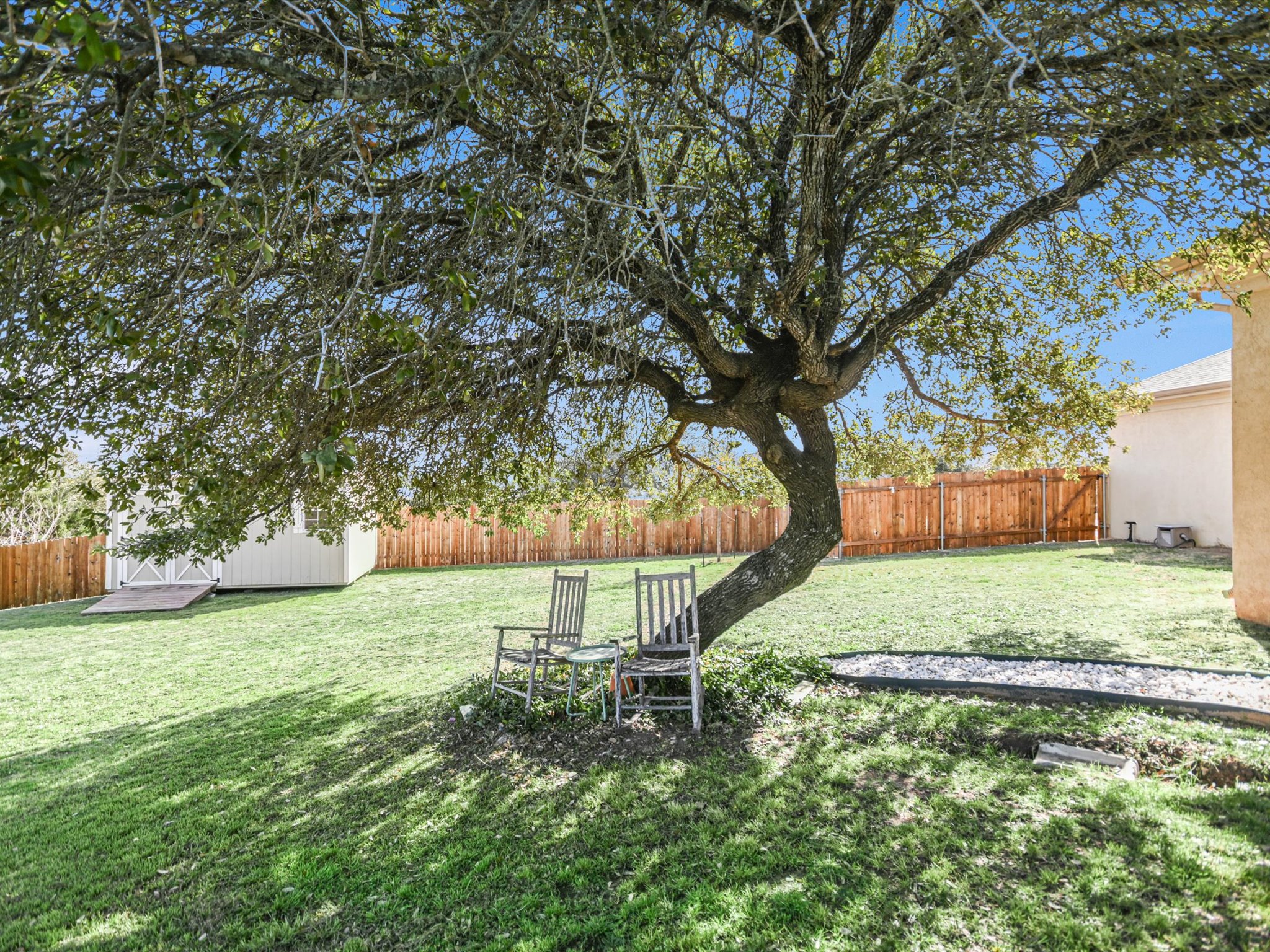10111 Baxter Lane Austin, TX 78736 - Photo 35 of 35 a view of a tree in a yard