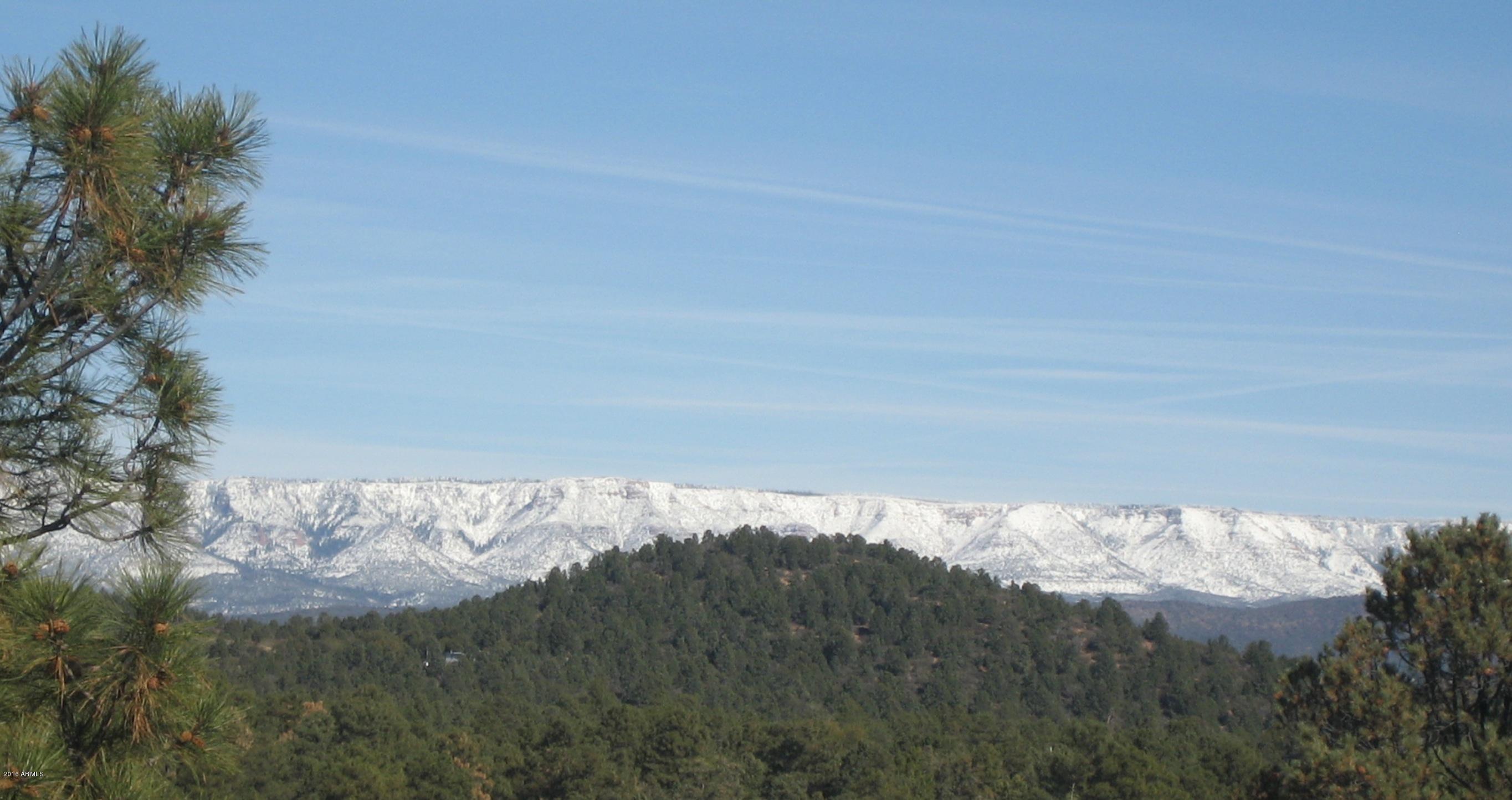 1120 South Mud Springs Road Payson, AZ 85541 - Photo 40 of 42 View of Rim-Snow