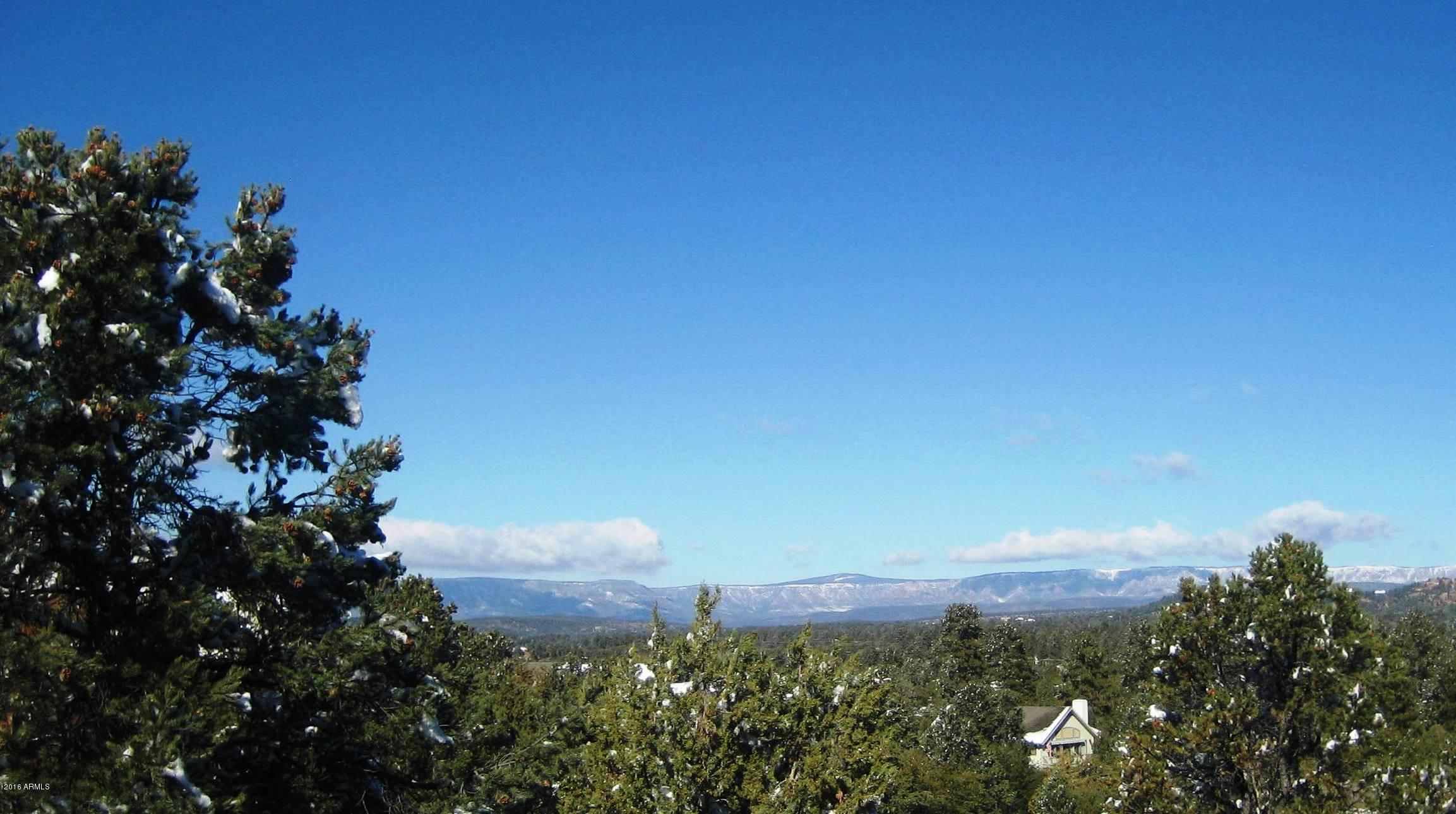1120 South Mud Springs Road Payson, AZ 85541 - Photo 41 of 42 View 1