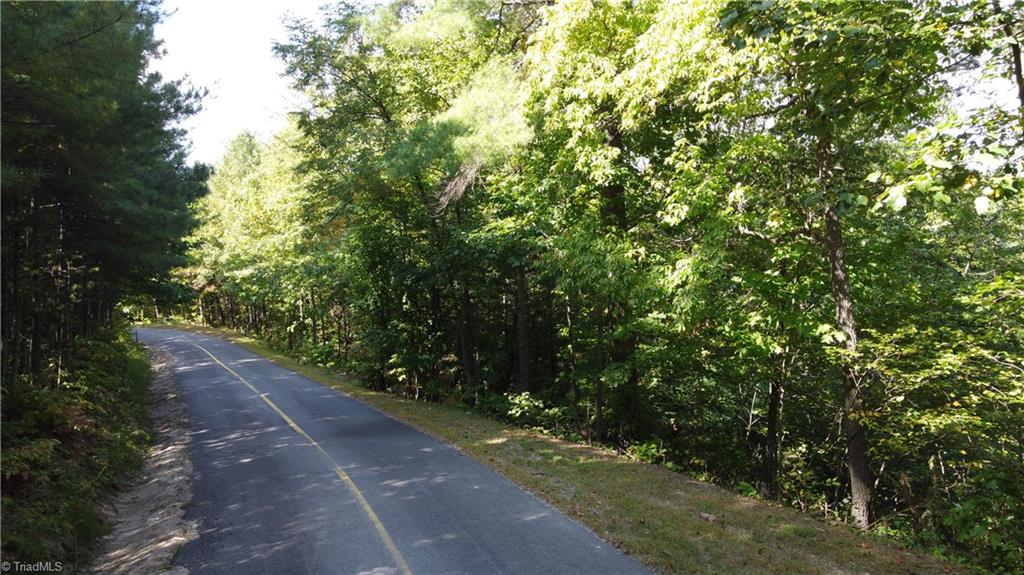 0 Bobcat Mountain Road Purlear, NC 28665 - Photo 2 of 16