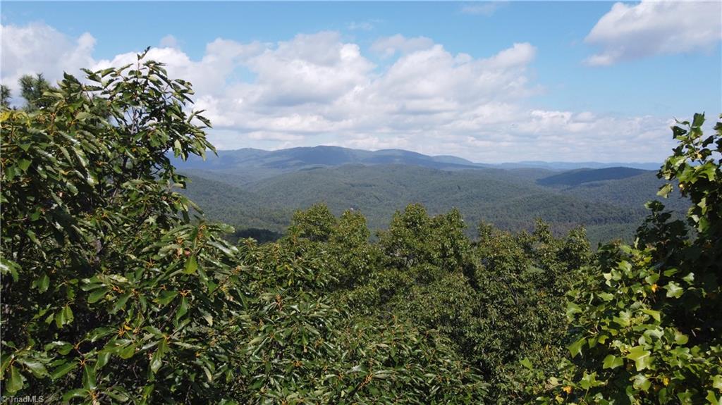 0 Bobcat Mountain Road Purlear, NC 28665 - Photo 3 of 16