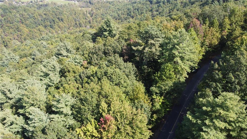 0 Bobcat Mountain Road Purlear, NC 28665 - Photo 6 of 16