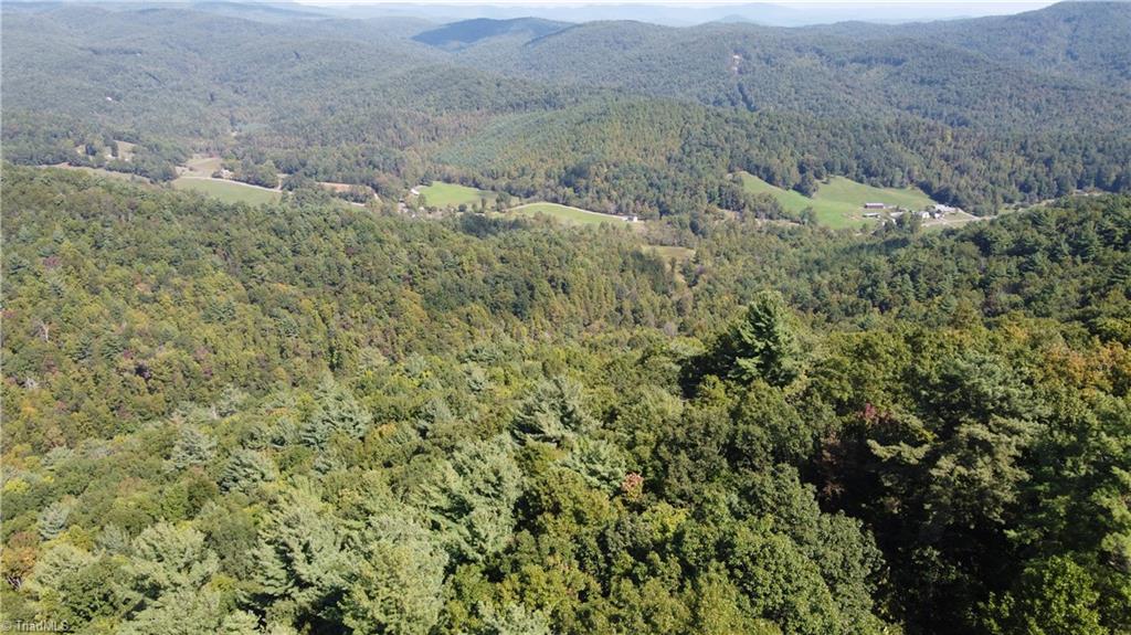 0 Bobcat Mountain Road Purlear, NC 28665 - Photo 8 of 16