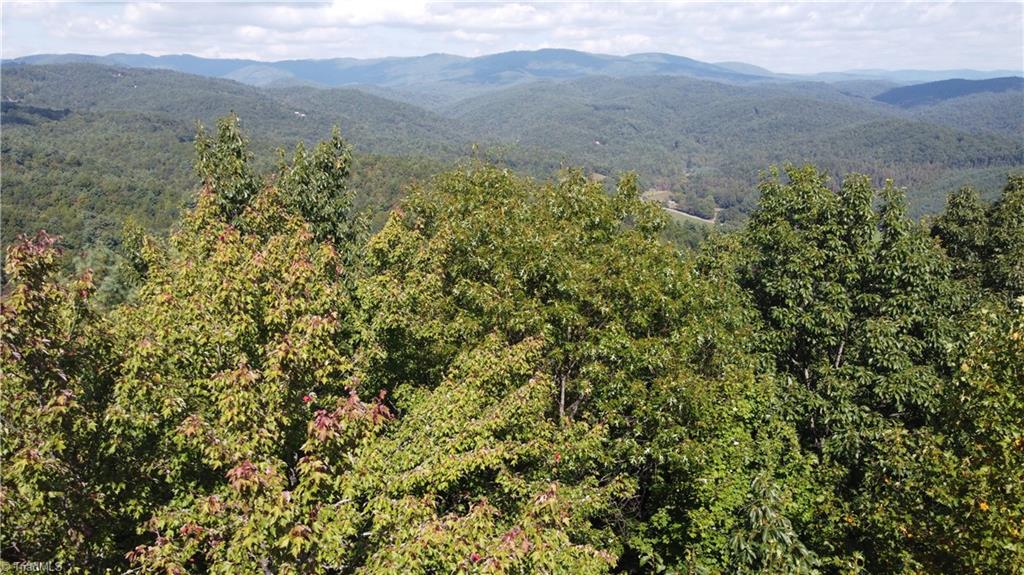 0 Bobcat Mountain Road Purlear, NC 28665 - Photo 9 of 16