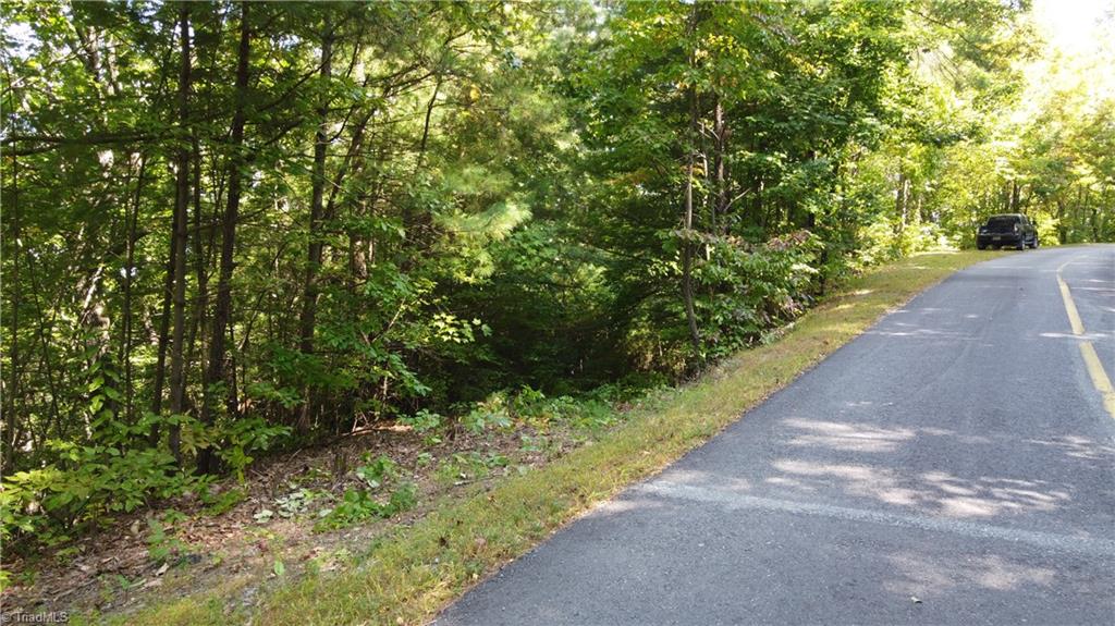 0 Bobcat Mountain Road Purlear, NC 28665 - Photo 10 of 16