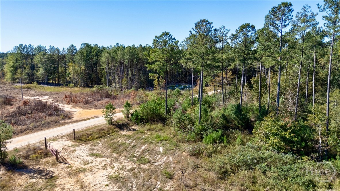 1 Bridges Road Carlton, GA 30627 - Photo 6 of 33
