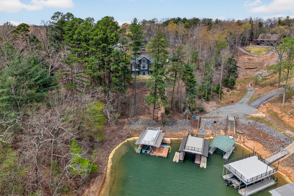 127 Azure Point Blue Ridge, GA 30513 - Photo 4 of 39 Dock and gentle slope Steps