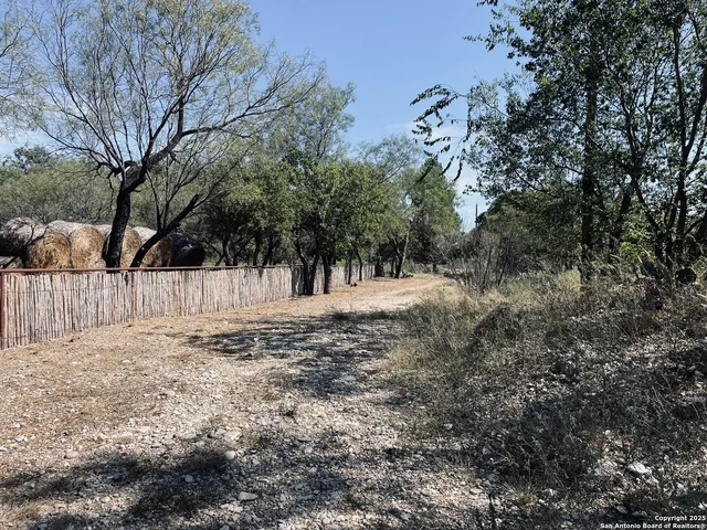 a view of a yard with trees