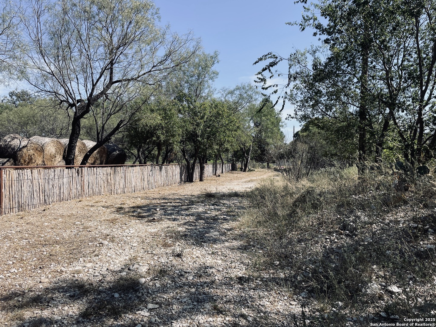 402 North Llano Street Junction, TX 76849 - Photo 1 of 8 a view of a yard with trees