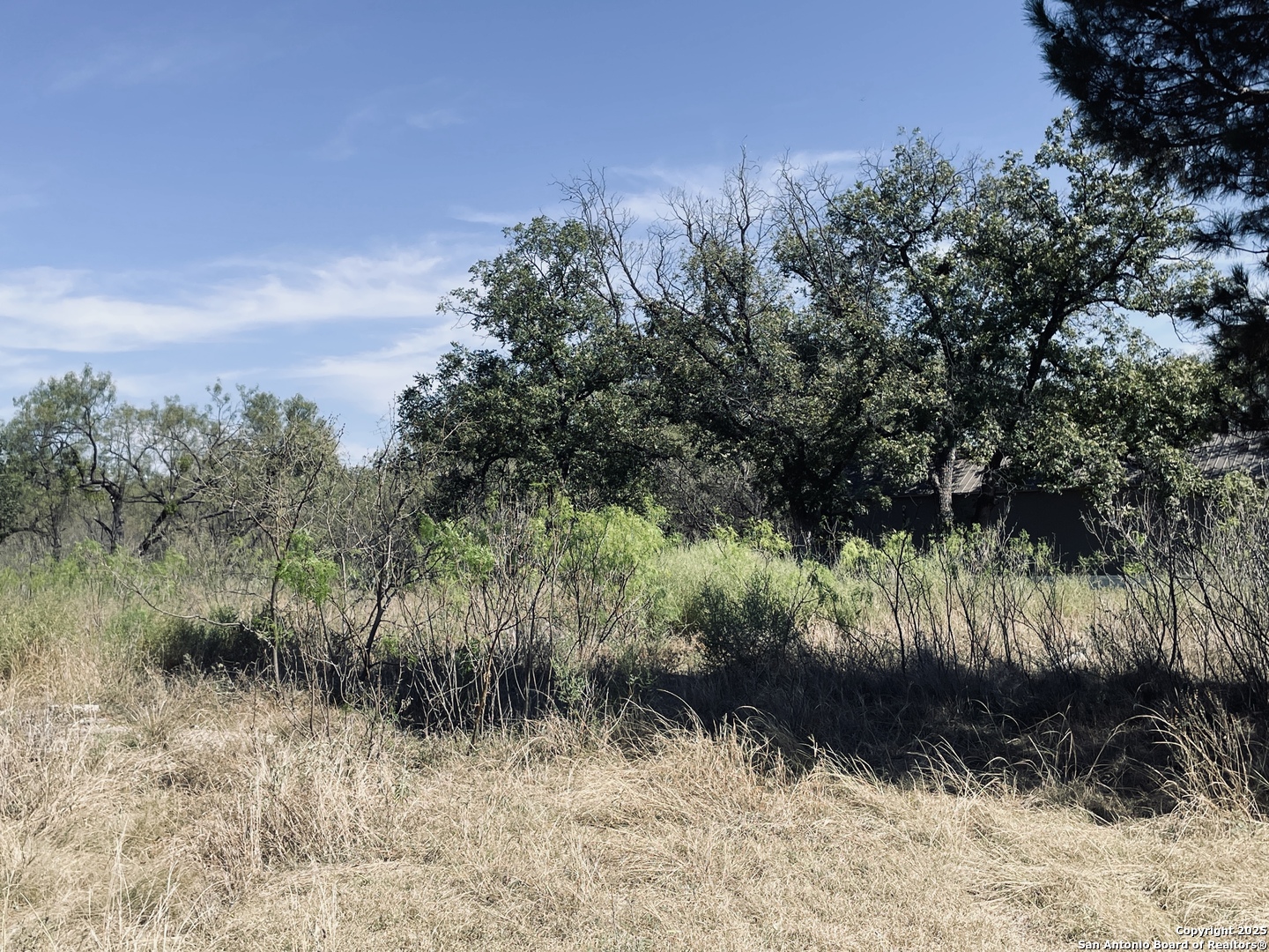 402 North Llano Street Junction, TX 76849 - Photo 5 of 8 a view of a yard