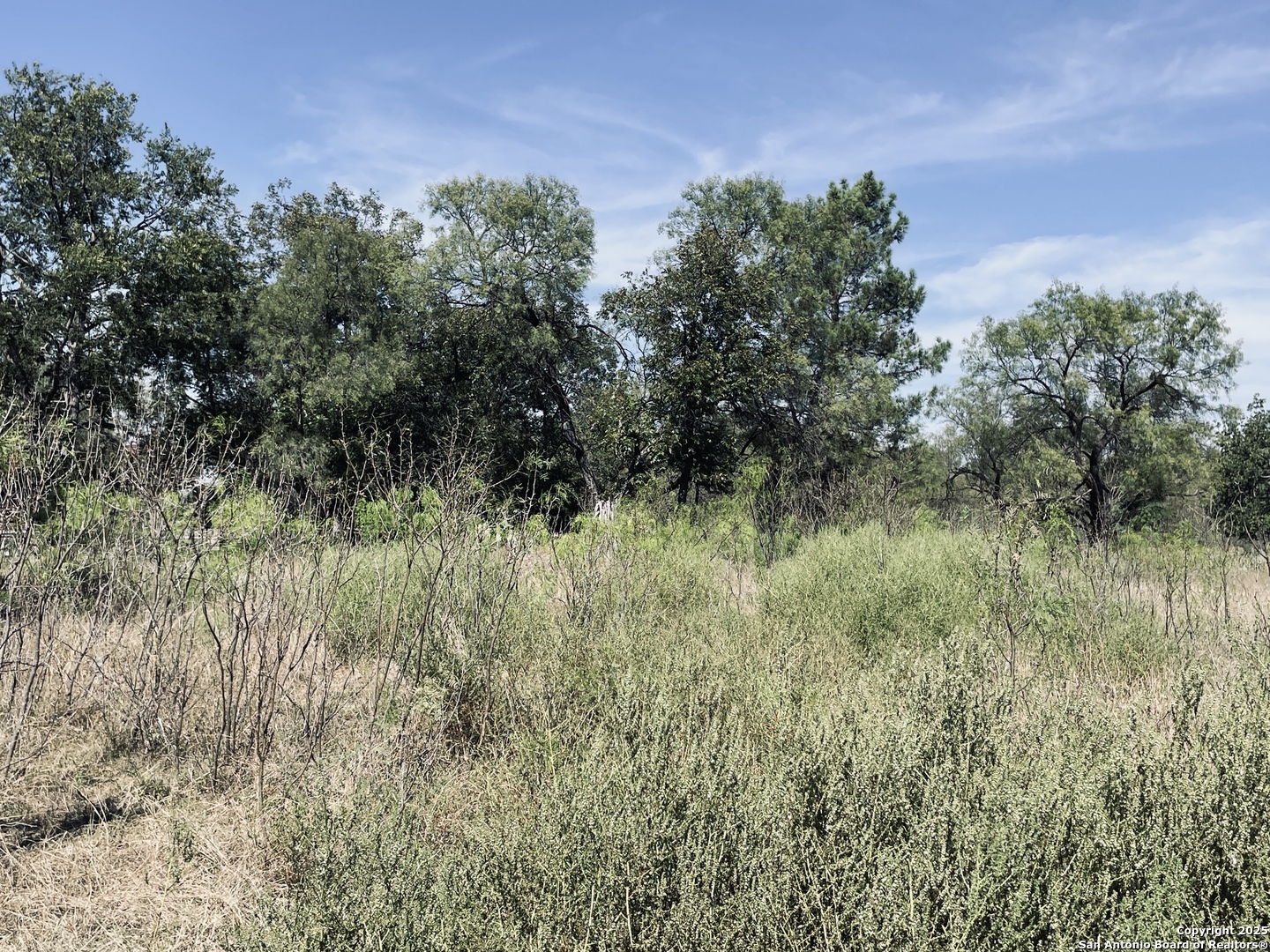 402 North Llano Street Junction, TX 76849 - Photo 6 of 8 a view of a lush green space
