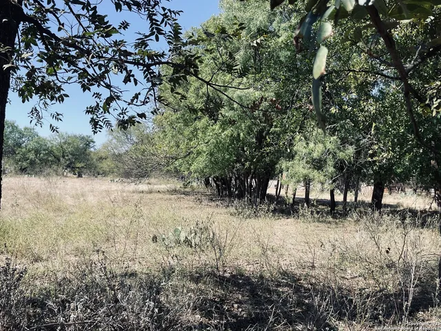 a view of covered with trees