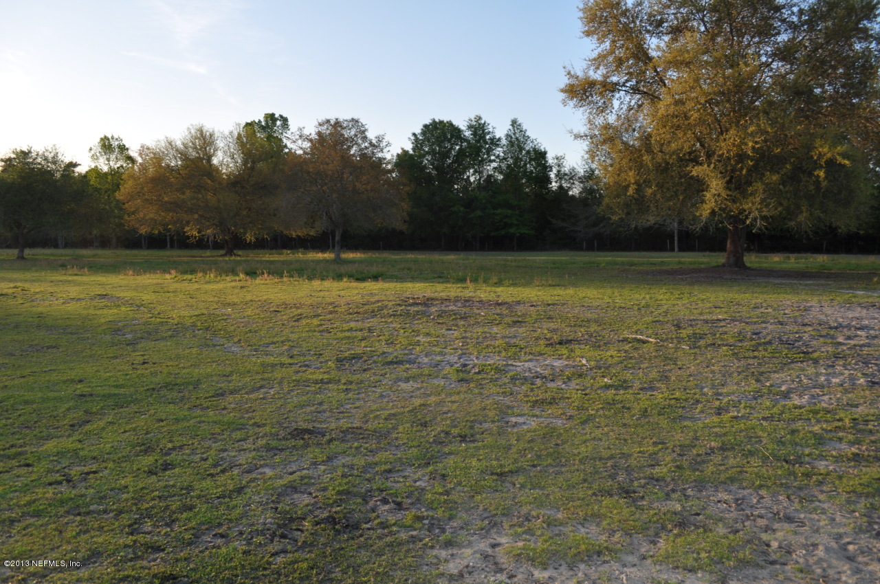 1682 Long Horn Road Middleburg, FL 32068 - Photo 33 of 53 pasture1