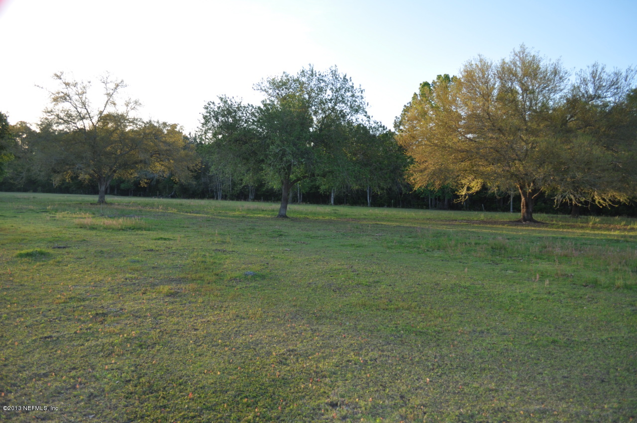 1682 Long Horn Road Middleburg, FL 32068 - Photo 34 of 53 pasture2