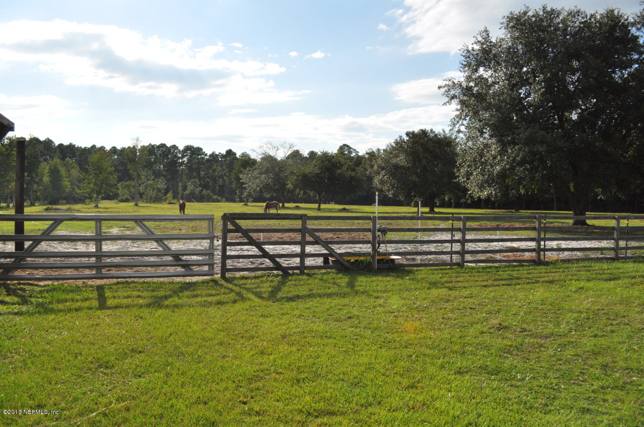1682 Long Horn Road Middleburg, FL 32068 - Photo 36 of 53 pasture4