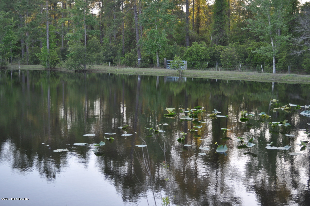 1682 Long Horn Road Middleburg, FL 32068 - Photo 52 of 53 pond2