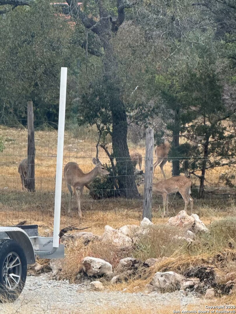 1652 Rimrock Cove Spring Branch, TX 78070 - Photo 26 of 26