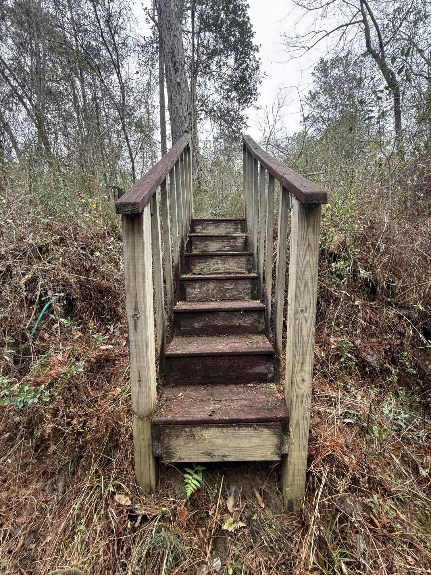 2483 Jordan Road Flomaton, AL 36441 - Photo 4 of 28 Stairs to Crest