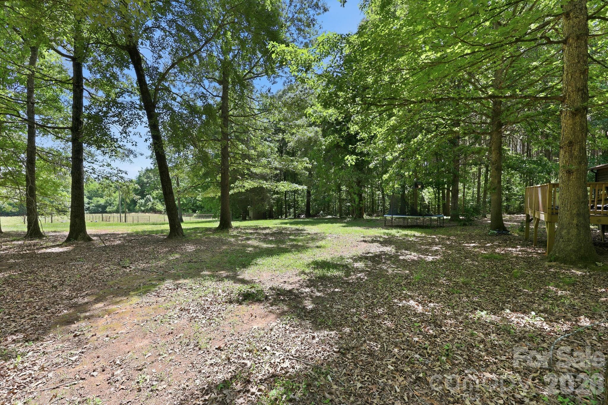 545 Campbell Road Woodleaf, NC 27054 - Photo 30 of 38