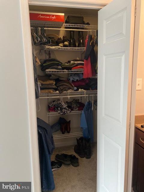 60 Brandy Road Front Royal, VA 22630 - Photo 28 of 37 Main Bedroom Closet