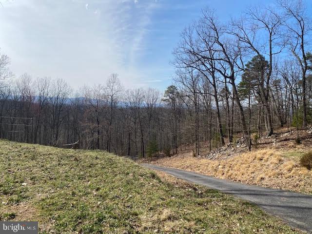 60 Brandy Road Front Royal, VA 22630 - Photo 4 of 37