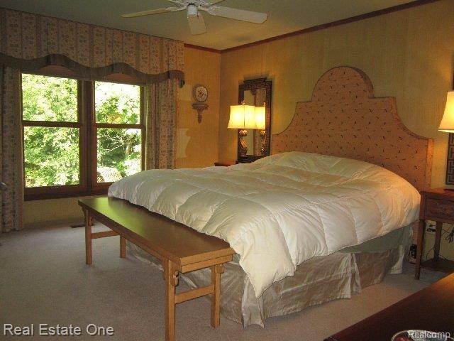 25712 Rutledge Crossing Farmington, MI 48335 - Photo 18 of 25 master bedroom.JPG