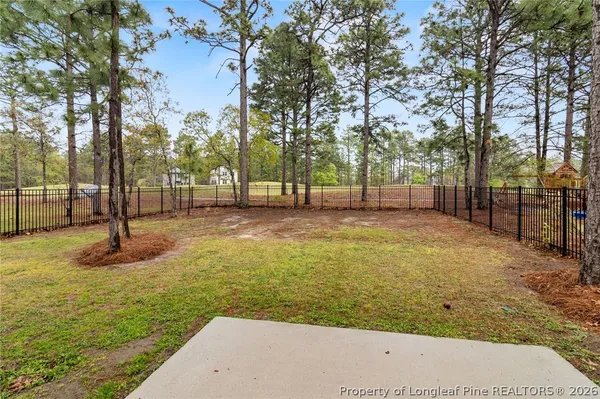 a backyard of water with large trees