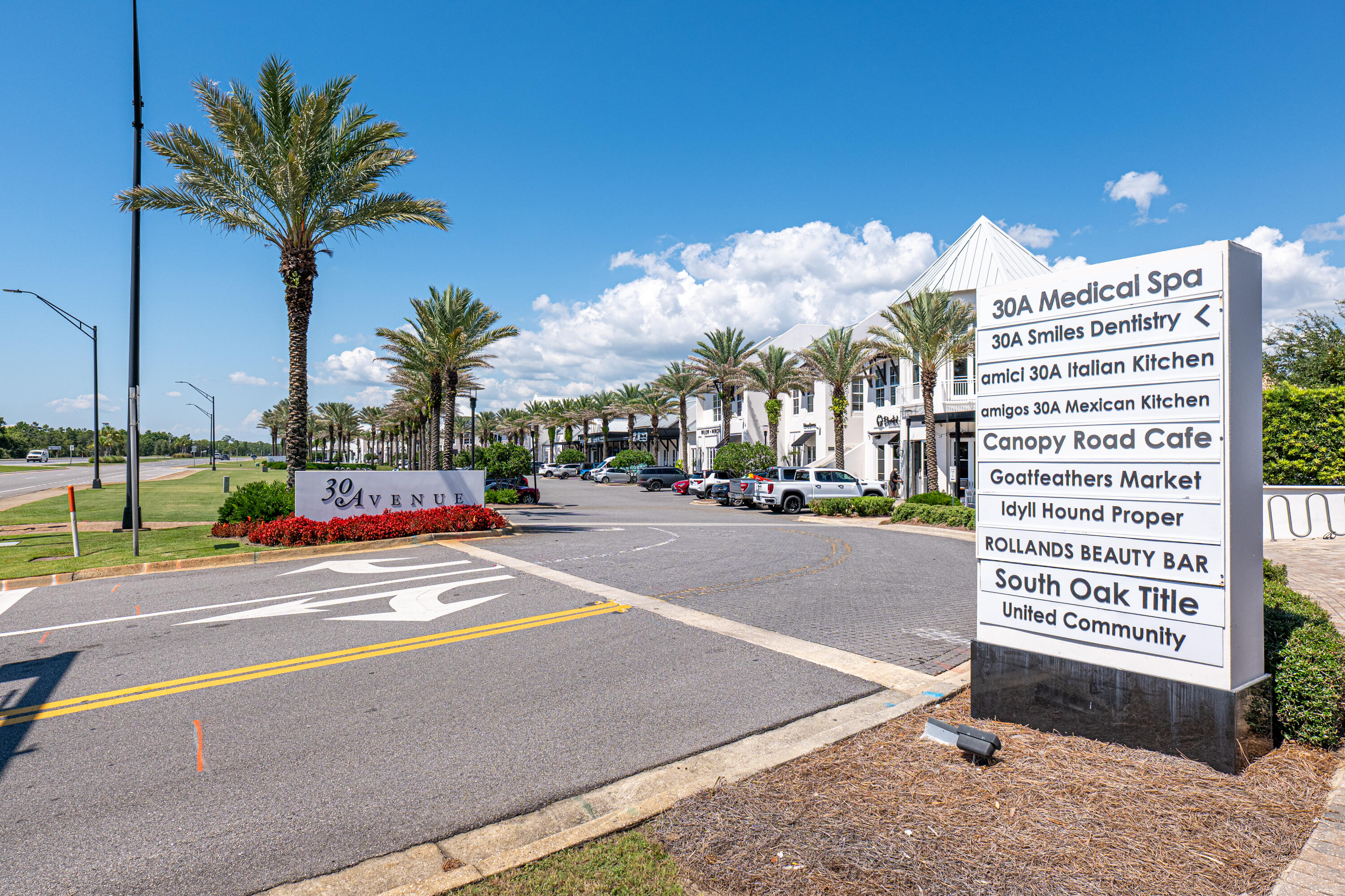 135 Grayling Way Inlet Beach, FL 32461 - Photo 51 of 61 a view of a city street lined with tall buildings