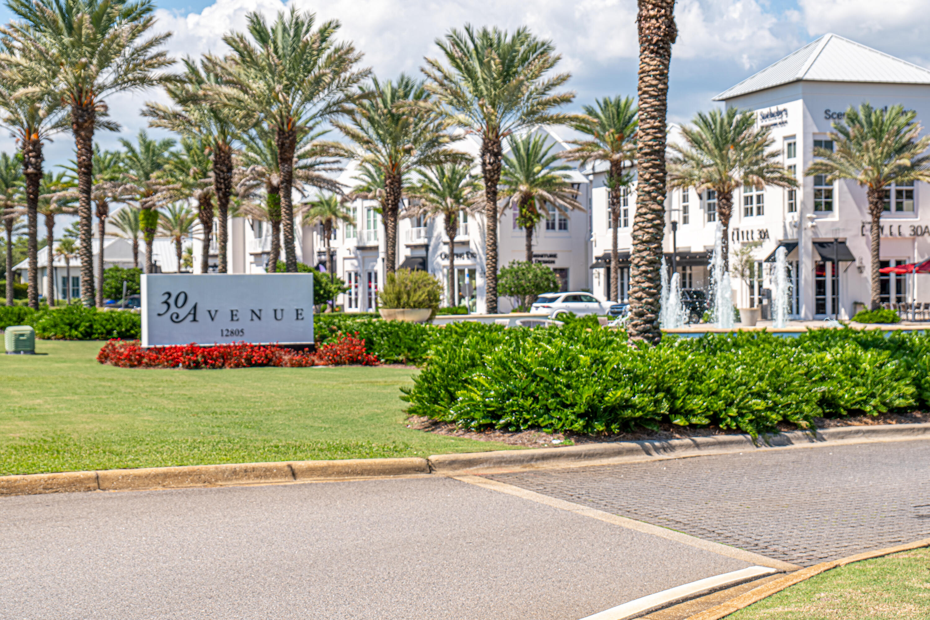 135 Grayling Way Inlet Beach, FL 32461 - Photo 59 of 61 front view of a house with a yard and palm trees