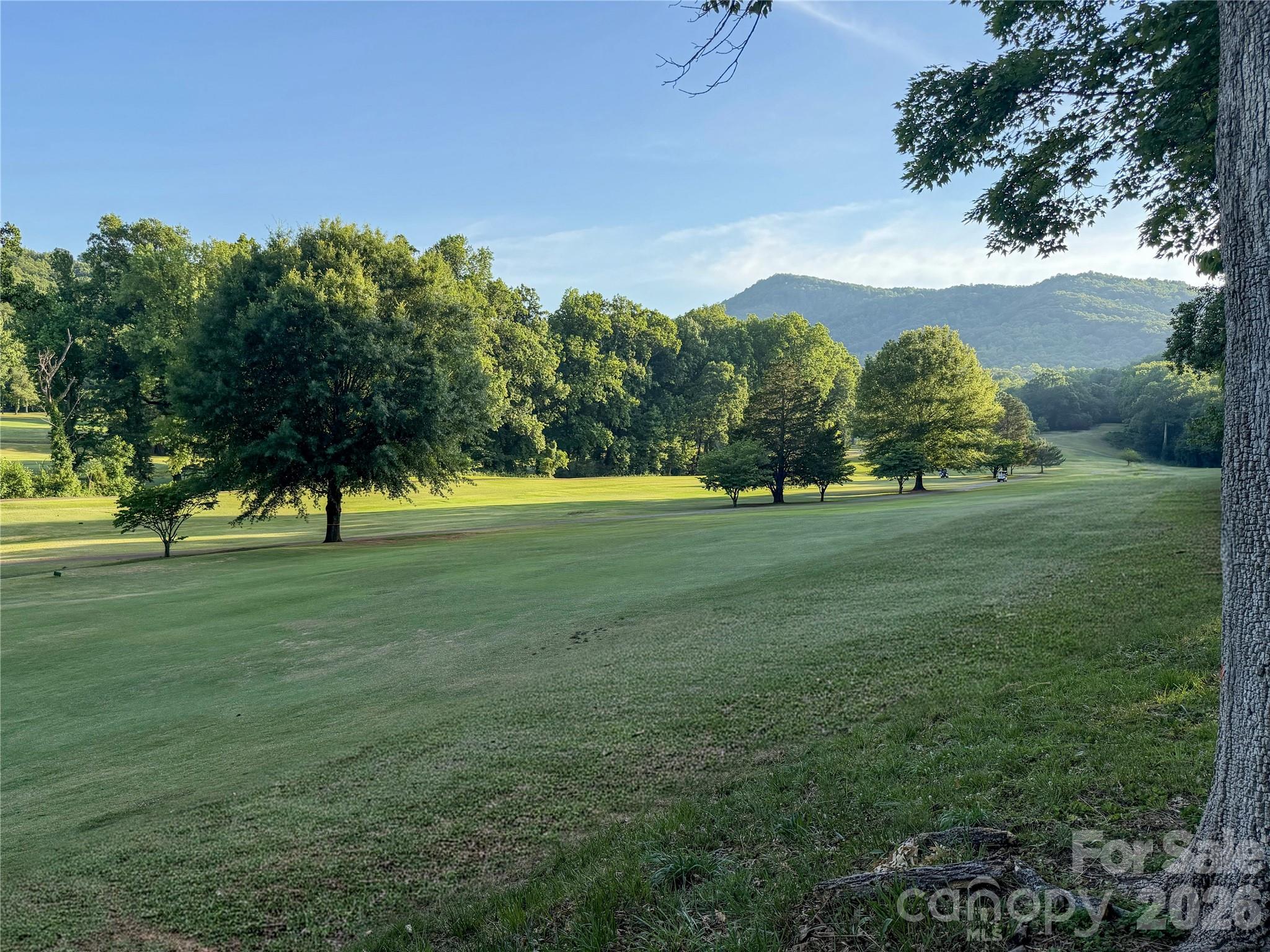 506 Country Club Road Tryon, NC 28782 - Photo 28 of 29