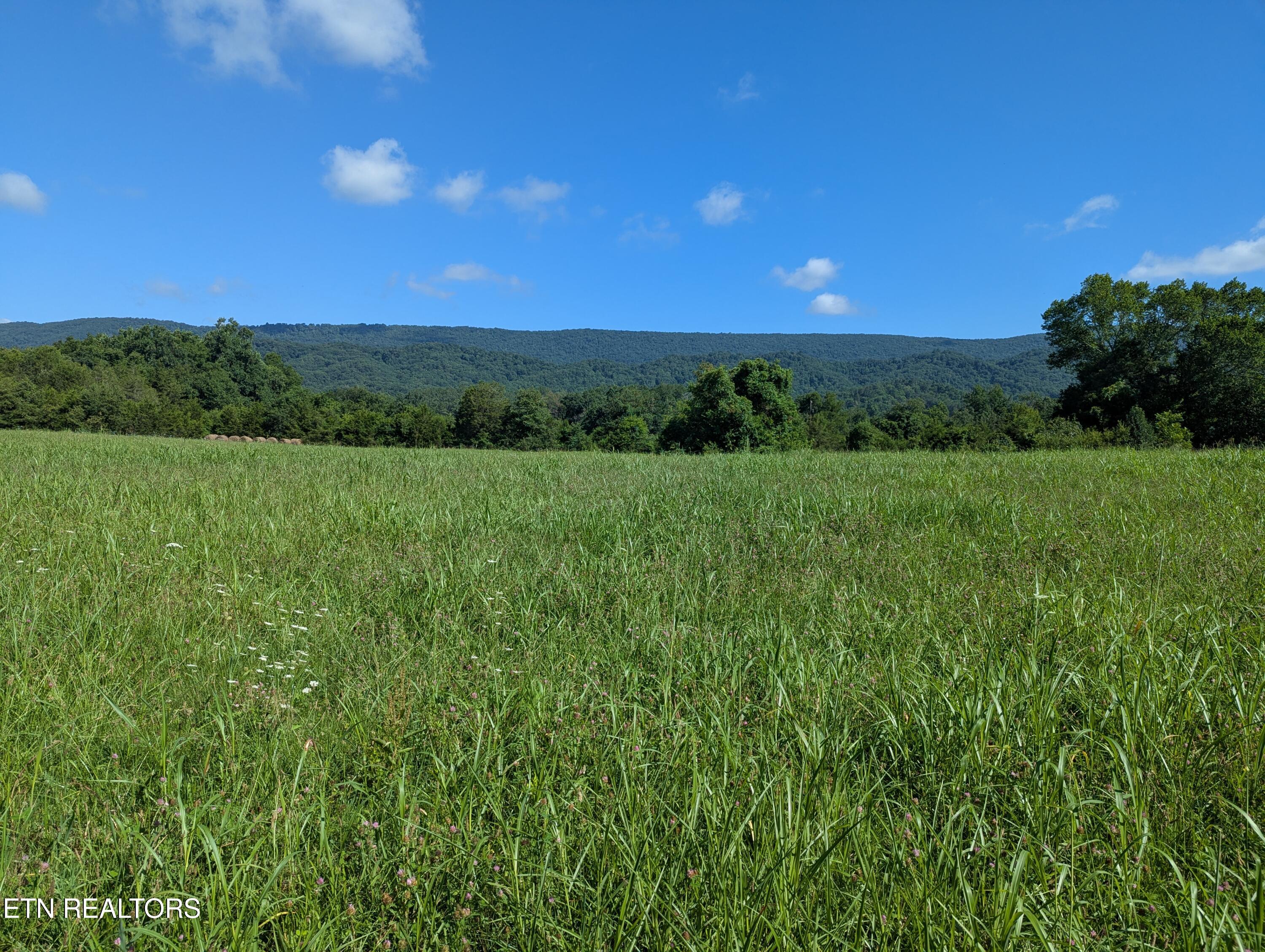 1 Doc Hill Road, Unit 49 010 Rutledge, TN 37861 - Photo 2 of 3 1000002085