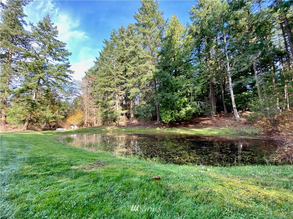 514 Laporte Road Orcas Island, WA 98245 - Photo 28 of 34 Gallery Image 28