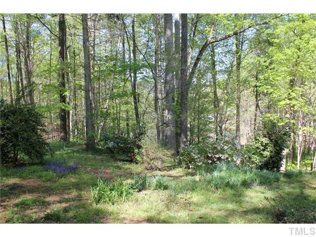 2304 Valley Forge Road, Unit LT34 Raleigh, NC 27615 - Photo 23 of 25 Yard