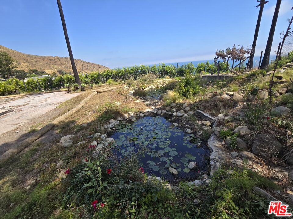 20434 Seaboard Road Malibu, CA 90265 - Photo 22 of 37 a view of a field with a tree