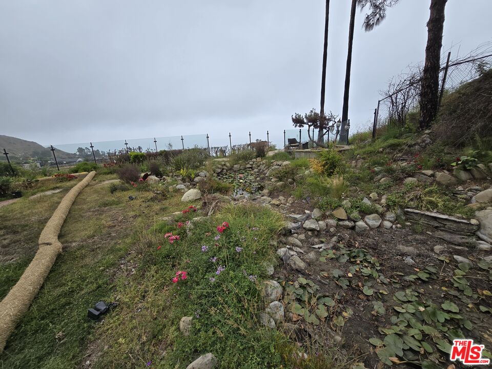 20434 Seaboard Road Malibu, CA 90265 - Photo 26 of 37 a view of a garden with a bridge