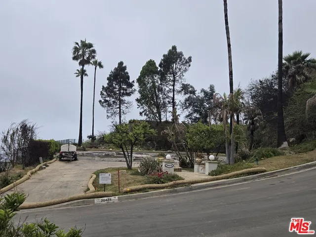 a view of a park with large trees