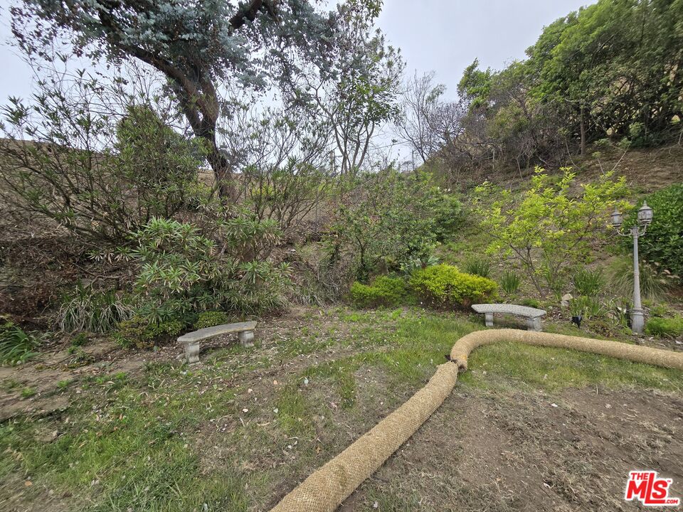 20434 Seaboard Road Malibu, CA 90265 - Photo 32 of 37 a view of a park with large trees