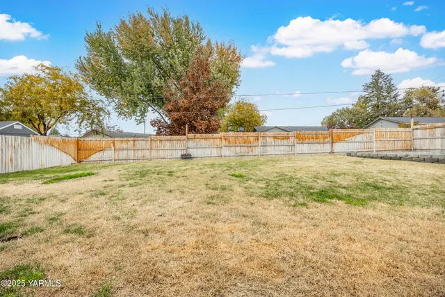 a view of yard with large tree