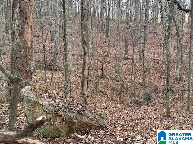 2611 Oaks Chapel Road Goodwater, AL 35072 - Photo 4 of 10